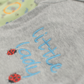 Custom embroidered baby onesie
